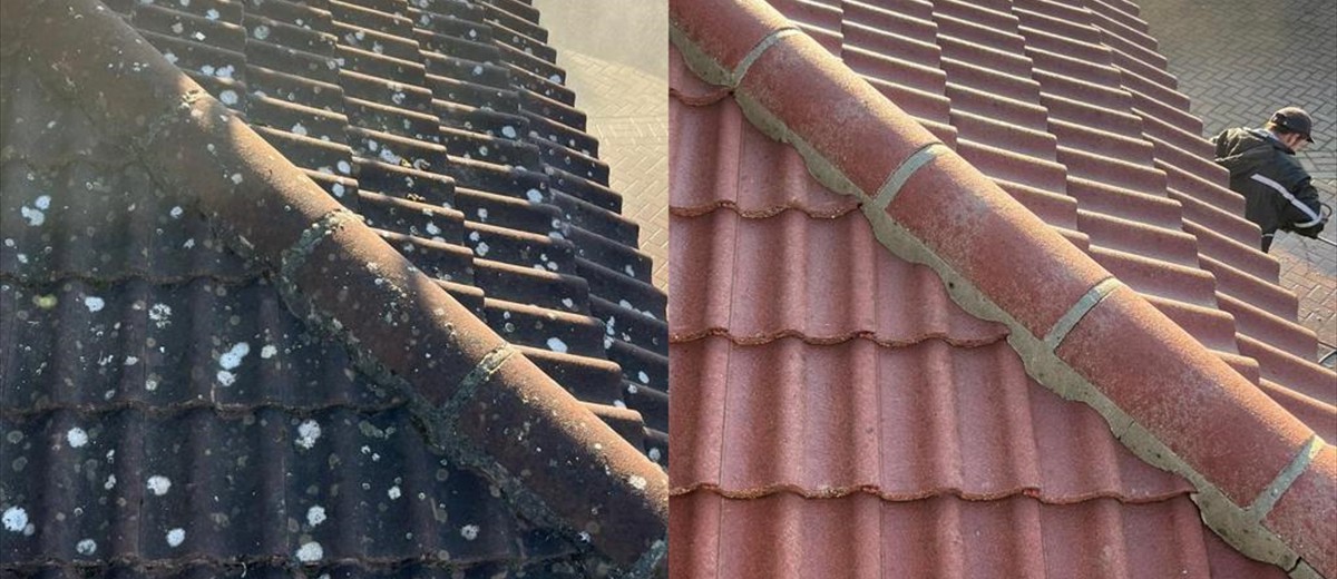 Roof Cleaning & Inspections